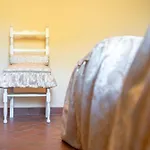 Podere Rosa Apartment Torrita di Siena